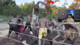 Twitch, TikTok und Ghana-Vlogs