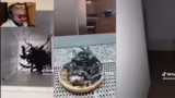 Überprüfung von Alien-Videos…