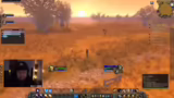 EXP, Teamwork und Stream-Moti…
