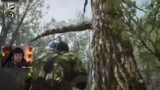Operation Ape Snake: Eine ung…