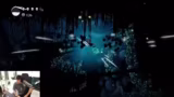 Hollow Knight