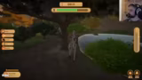 Games + Demos