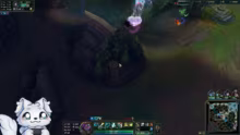 Exklusive Badges UND Kassadin Skin JETZ…