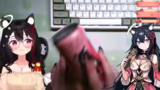Vorbereitung auf das VTuber S…