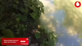 Vodafone Kooperation und Spot…