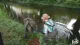 Einkaufswagen und Waffenfund