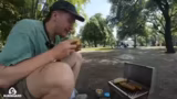 IRL