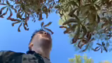 IRL