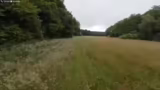 Pannen und Umwege auf dem Weg…