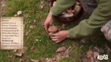 Waldluft, Hexenröhrling und S…