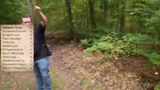 Fliegenpilze als Steinpilz-An…