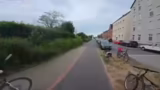 Giraffenzebras Stream, Vogels…