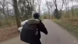 Sportlichkeit, Hunde, Ratteng…
