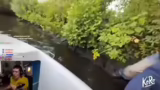 Planung von Fahrradvideos und…