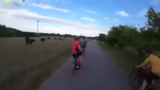 100 Kilometer erreicht und ge…
