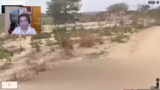 GeoGuessr