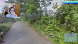 GeoGuessr