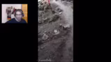 Erlebnisse auf dem Milford Tr…