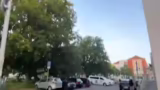 Färben des Barts und Treffen…