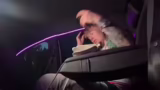 Spontaner Musikvideodreh und…