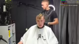 TikTok Live und Superstar-Fri…
