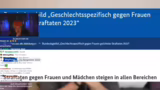Diskussion über Zink, Femizid…