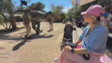 ️ JURASSIC PARK MALLE !s plan vod ! @Ku…