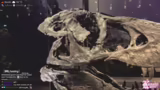 ️ DINOSAURIER KNOCHEN ERFORSCHEN ! holy…