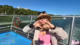 Audioguide, Flussfahrt-Gedank…