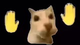 Abschluss des Streams und Dan…