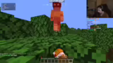 Planung der Minecraft-Challen…