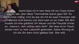 Analyse und Bewertung der ein…