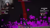 Minecraft Purge und Teamstrat…