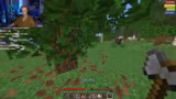 SIDEQUEST ÜBER SIDEQUEST // BASTIGHG CH…
