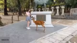 IRL