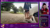 Allerlei aus dem Live-Stream