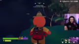 Raids und Vorbilder im Stream