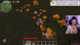 Minecraft Server der Gang & F…