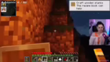 Minecraft-Abenteuer und Kreat…