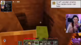 Real-Life-Erlebnisse, Minecra…