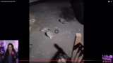 Betrachtung viraler Videos un…