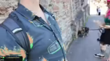 Erkundung von Seligenstadt un…