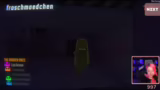 Umgang mit Wichteln und Zwerg…