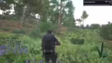 Hardcore Immersive Roleplay P…