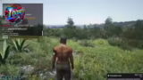 Whitelist und Server-Fokus