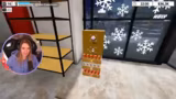 Mall Simulator