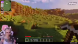 Minecraft Version und Spieler…