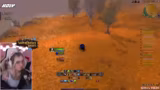 Leveln in Westfall und Teampl…