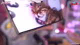 IRL-Stream und 'Let's Talk Ab…