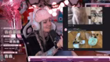 [SPENDEN STREAM] Stream4Puppies♡ spende…